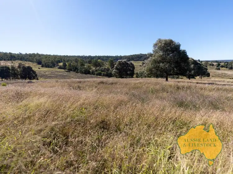 Fifth view of Homely rural property listing, 275 Nantglyn Road, Mundubbera QLD 4626