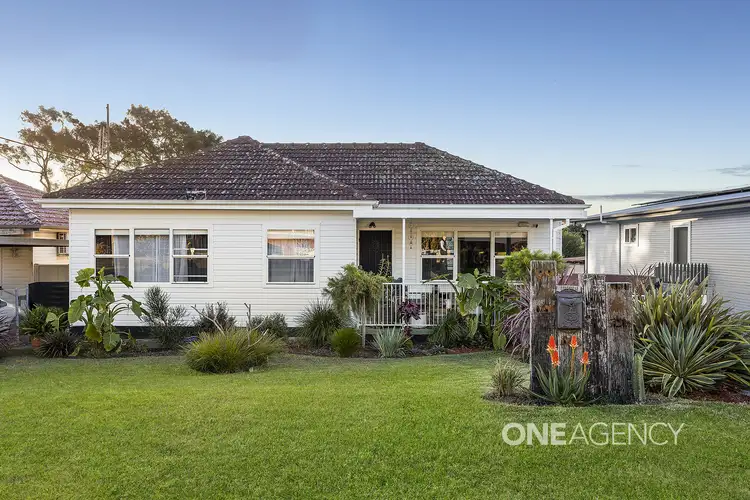 14 Roberts Avenue, Barrack Heights NSW 2528