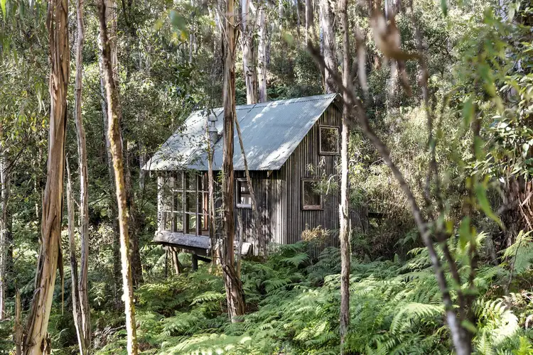 620 Bambra Cemetery Road, Deans Marsh VIC 3235