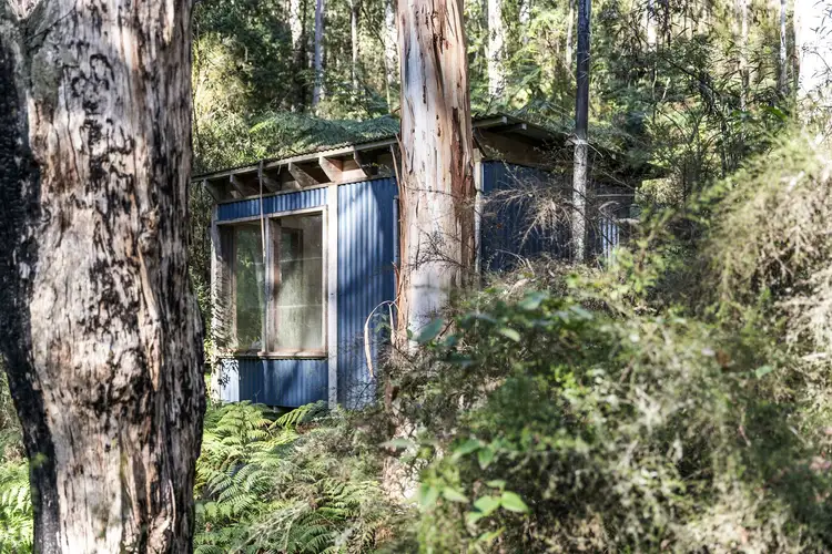 Second view of Homely land listing, 620 Bambra Cemetery Road, Deans Marsh VIC 3235
