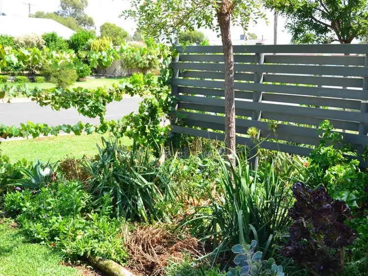 Second view of Homely block of units listing, 4 Villarette Avenue, Narrabri 2390, Narrabri NSW 2390