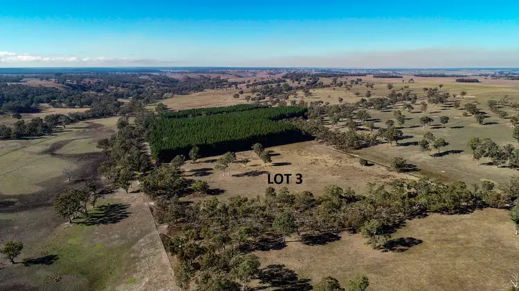 Third view of Homely rural property listing, LOT 1 & 3 Dergholm-Chetwynd Road, Dergholm VIC 3312
