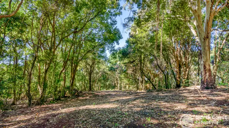 Fifth view of Homely land listing, 70 North Teven Road, Teven NSW 2478