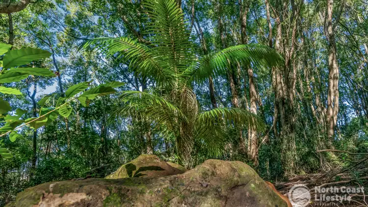 Seventh view of Homely land listing, 70 North Teven Road, Teven NSW 2478