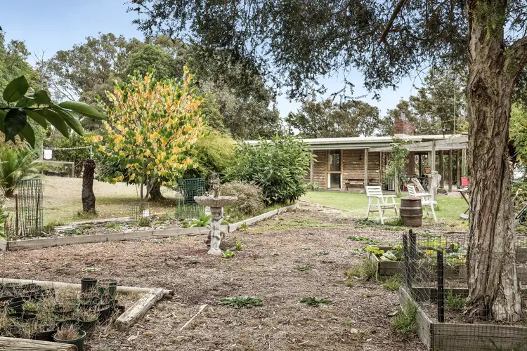 251 Jetty Road, Drysdale VIC 3222