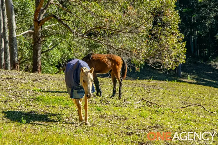 Second view of Homely rural property listing, 529 The Ridgeway, Tumbi Umbi NSW 2261