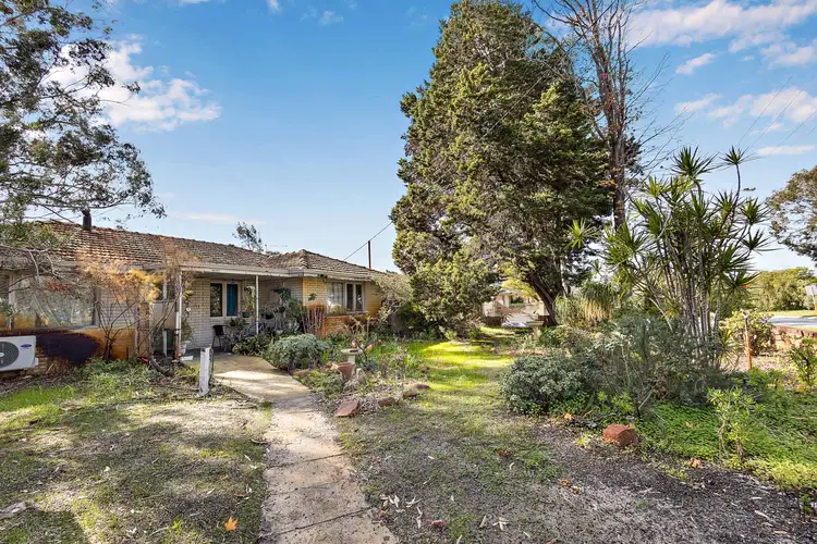 Main view of Homely house listing, 293 MORLEY DRIVE EAST, Lockridge WA 6054