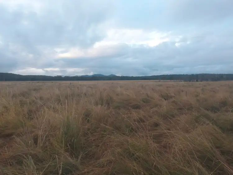 Fourth view of Homely rural property listing, 3247 Lowmead Road, Lowmead QLD 4676