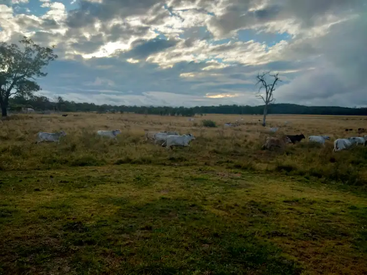 Fifth view of Homely rural property listing, 3247 Lowmead Road, Lowmead QLD 4676