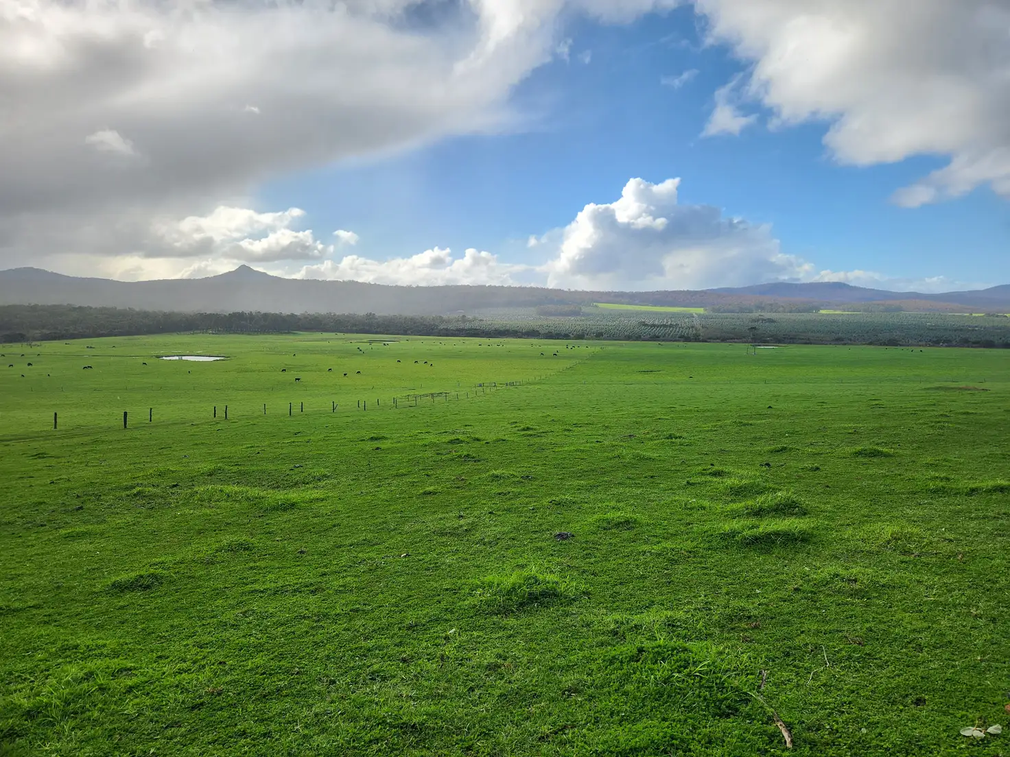 Main view of Homely rural property listing, 378 Hazelvale North Road, Hazelvale WA 6333