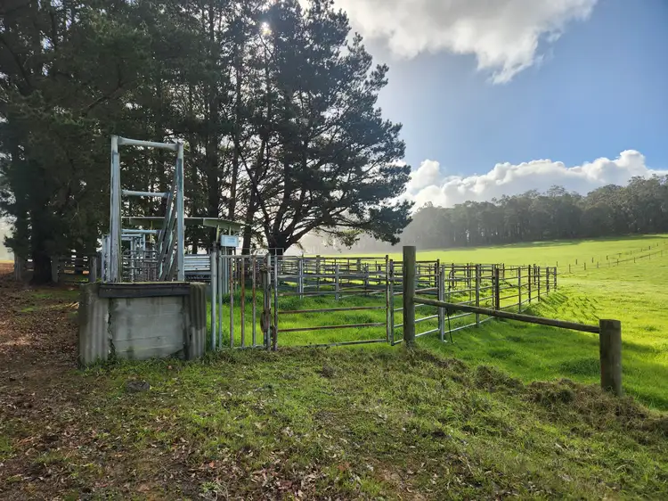 Second view of Homely rural property listing, 378 Hazelvale North Road, Hazelvale WA 6333