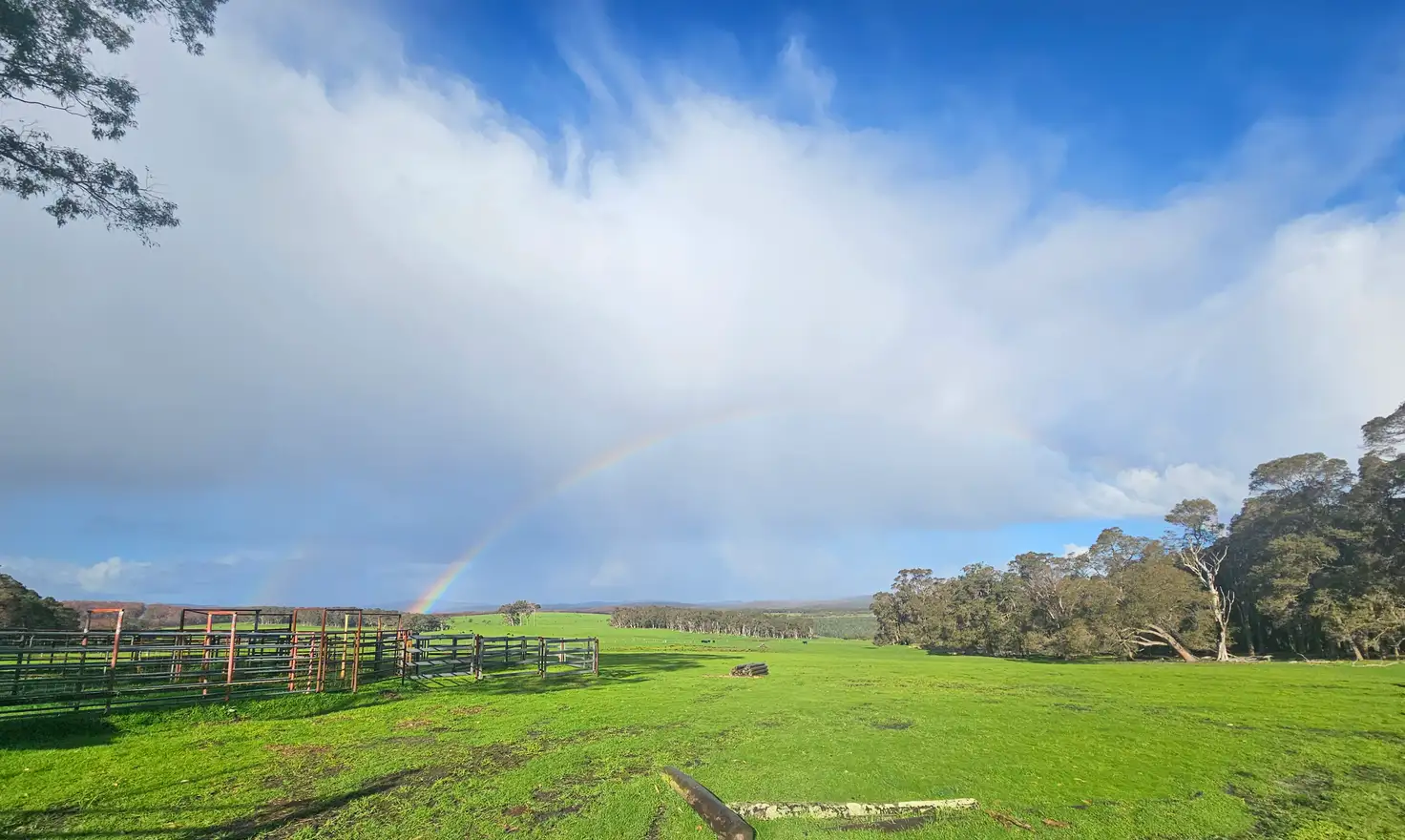 Main view of Homely rural property listing, 250 Collis Road, Hazelvale WA 6333
