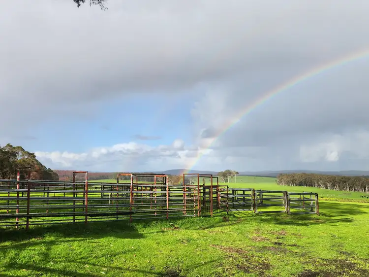 Second view of Homely rural property listing, 250 Collis Road, Hazelvale WA 6333