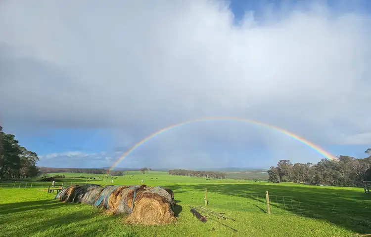 Third view of Homely rural property listing, 250 Collis Road, Hazelvale WA 6333