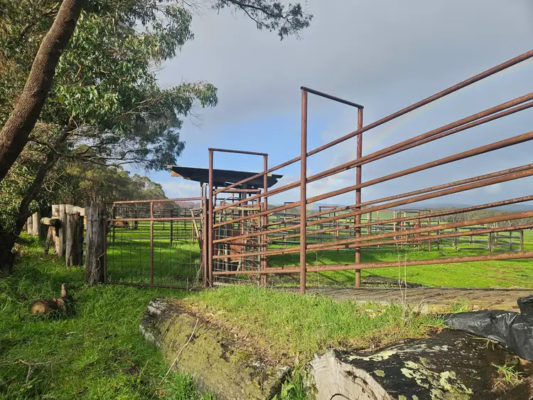 Fourth view of Homely rural property listing, 250 Collis Road, Hazelvale WA 6333