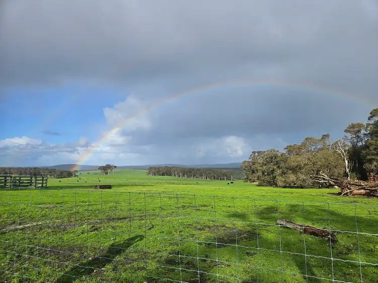 Seventh view of Homely rural property listing, 250 Collis Road, Hazelvale WA 6333