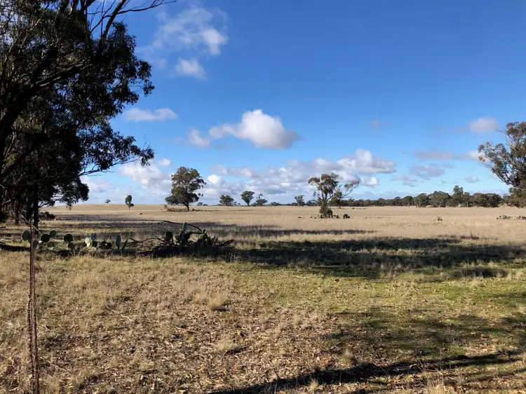 Seventh view of Homely land listing, LOT 1, 4000 Korong Vale-Wychitella Road, Woolshed Flat VIC 3518