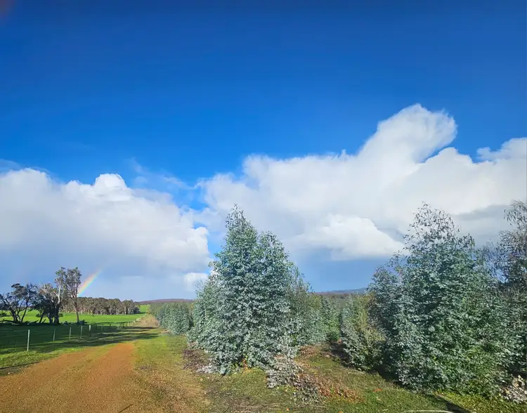 Second view of Homely rural property listing, 194 Collis Road, Hazelvale WA 6333