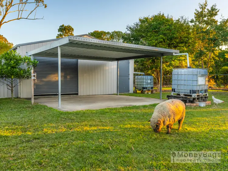Fifth view of Homely house listing, 19-23 Crows Ash Court, Flagstone QLD 4280