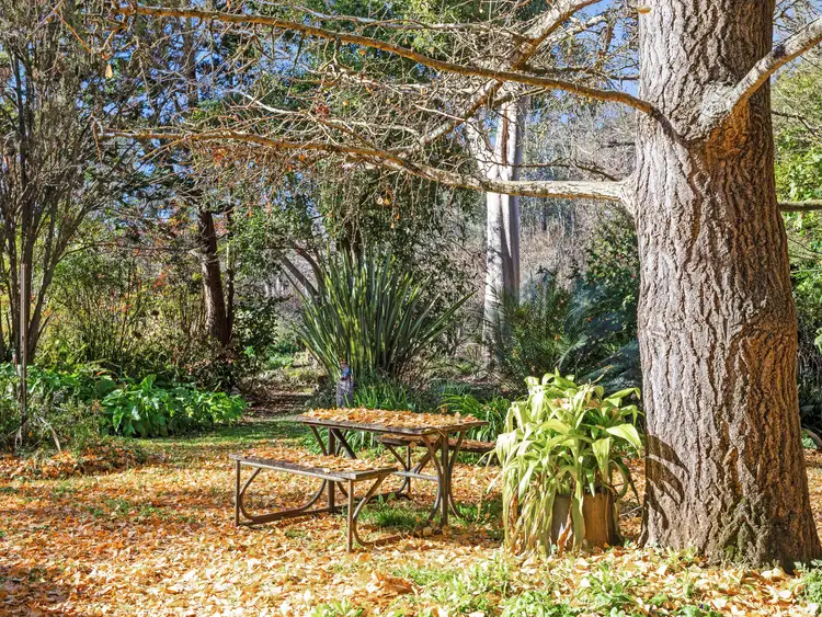 Sixth view of Homely rural property listing, 34 Enders Lane, Carboor VIC 3678