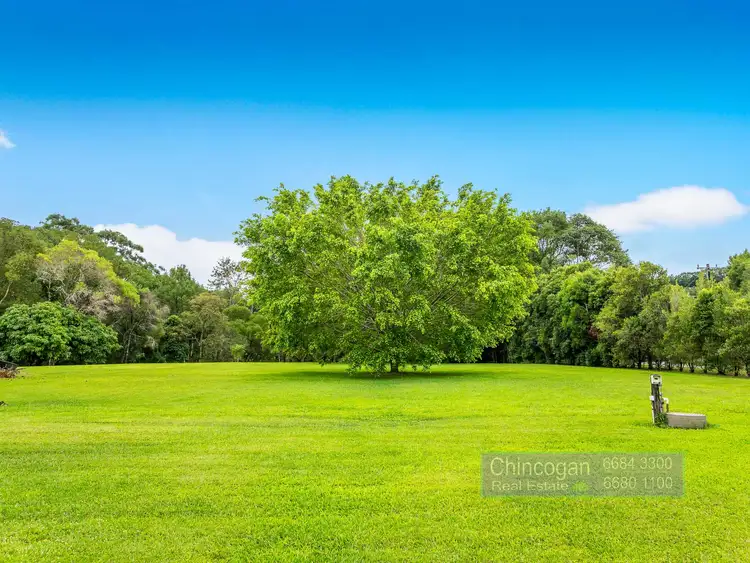 Third view of Homely rural property listing, 320 Left Bank Road, Mullumbimby NSW 2482