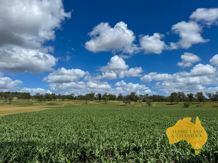 154 Staatz Road, Monto QLD 4630