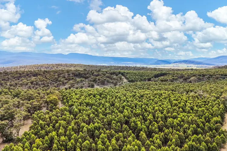 241 Williams Road, Royal George TAS 7213