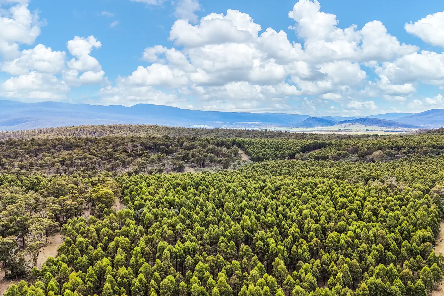 Main view of Homely rural property listing, 241 Williams Road, Royal George TAS 7213