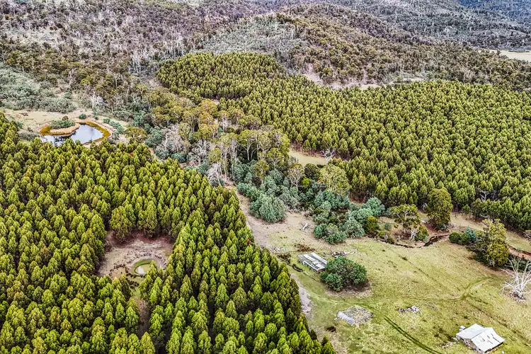 Second view of Homely rural property listing, 241 Williams Road, Royal George TAS 7213