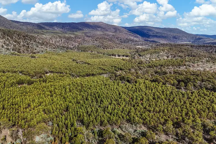 Sixth view of Homely rural property listing, 241 Williams Road, Royal George TAS 7213