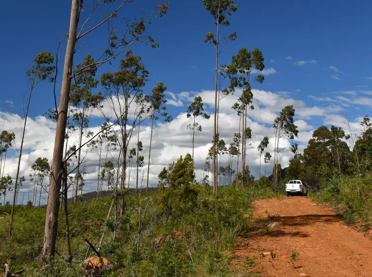 Seventh view of Homely rural property listing, 241 Williams Road, Royal George TAS 7213