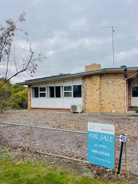 Main view of Homely house listing, 45 Peake Terrace, Coonalpyn SA 5265