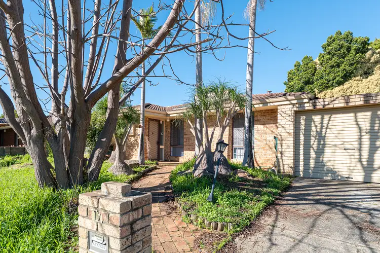 Main view of Homely house listing, 17 Hillegine Court, Gosnells WA 6110
