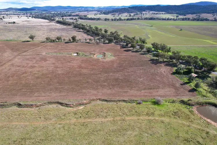 Sixth view of Homely rural property listing, "Glenroy" 6697 The Escort Way, Eugowra NSW 2806