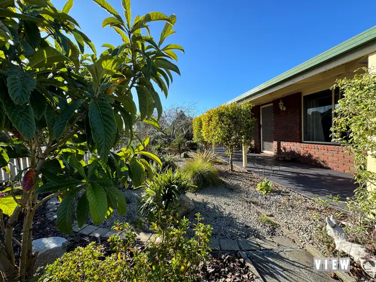 Second view of Homely house listing, 6 Lindsay Parade, St Helens TAS 7216