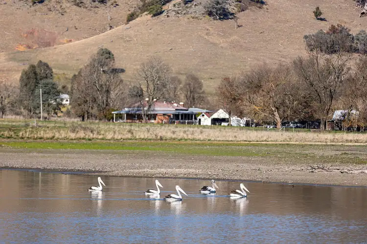 Fifth view of Homely rural property listing, 1064 Darbalara Road, Darbalara NSW 2722