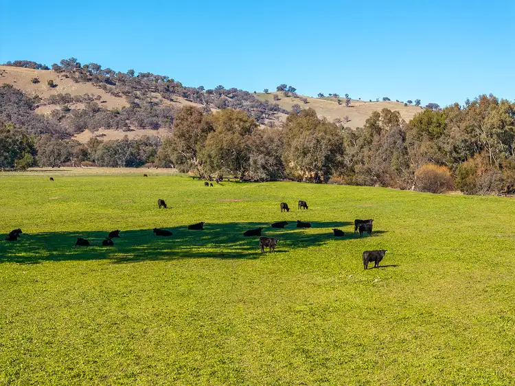 Seventh view of Homely rural property listing, 1064 Darbalara Road, Darbalara NSW 2722