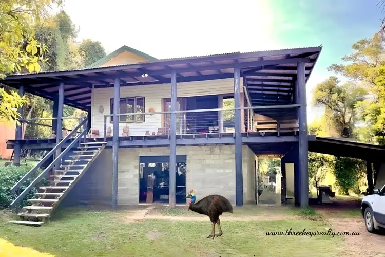 488 Bingil Bay Road, Midgeree Bar QLD 4852