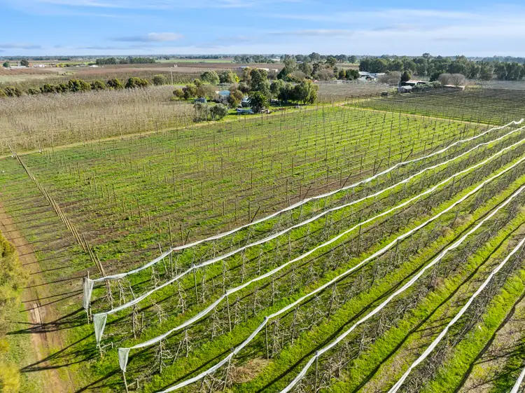 Fourth view of Homely rural property listing, 131 Prentice Road, Orrvale VIC 3631