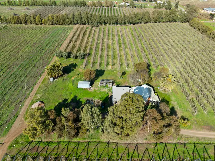 Sixth view of Homely rural property listing, 131 Prentice Road, Orrvale VIC 3631