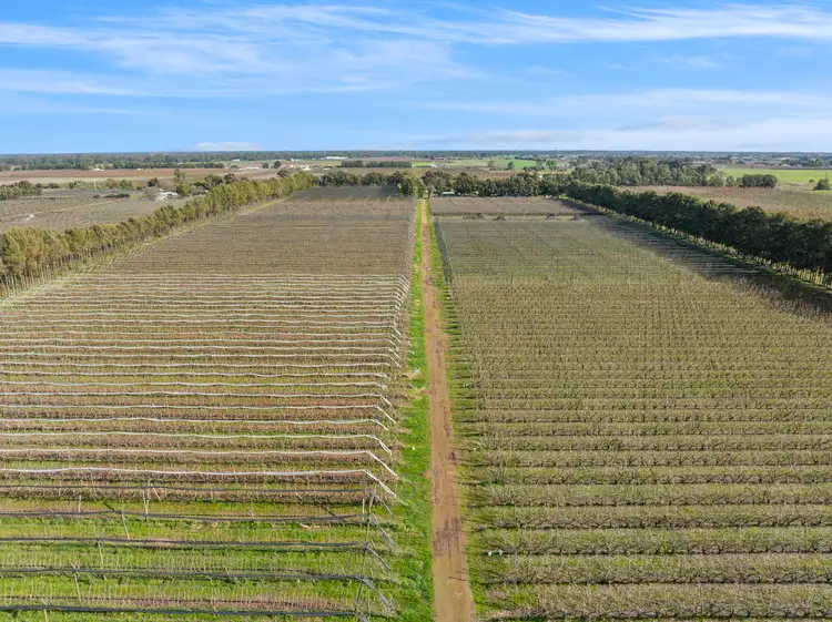 Seventh view of Homely rural property listing, 131 Prentice Road, Orrvale VIC 3631