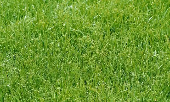 Main view of Homely land listing, 6 Bluegum Way, Oakden SA 5086