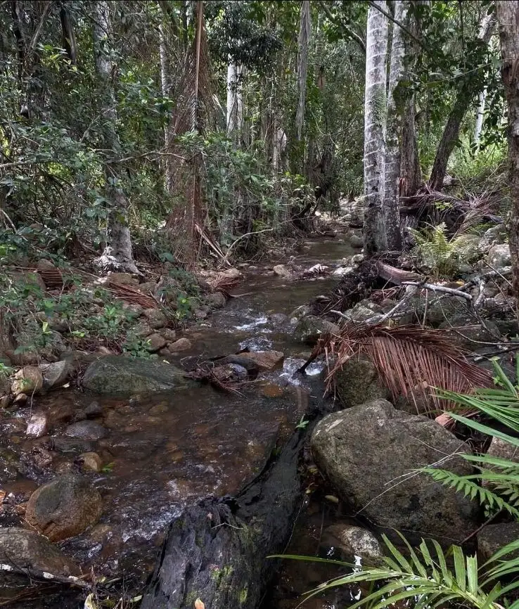 Second view of Homely rural property listing, 52 Flanders Road, Byfield QLD 4703