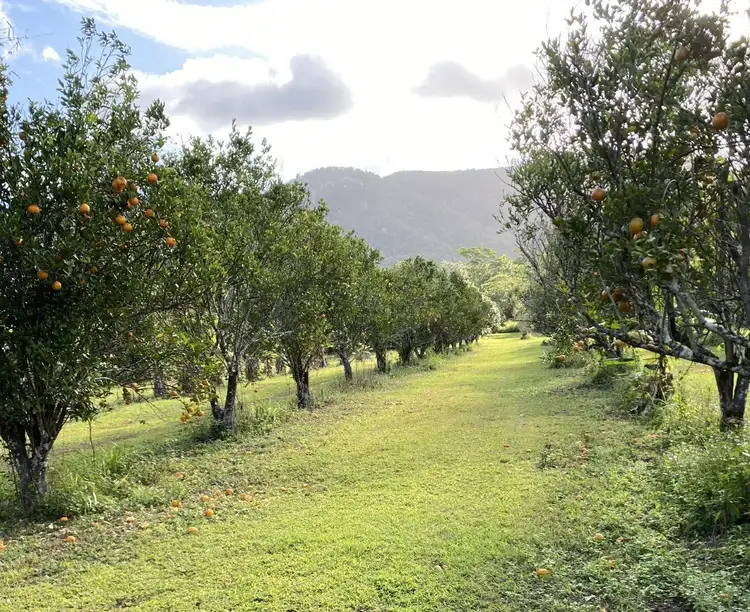 Fifth view of Homely rural property listing, 52 Flanders Road, Byfield QLD 4703