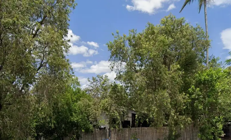 Main view of Homely house listing, 425 Rockonia Road, Koongal QLD 4701