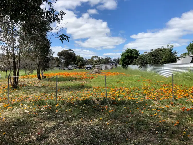 Second view of Homely land listing, 34 Market Street, Newbridge VIC 3551