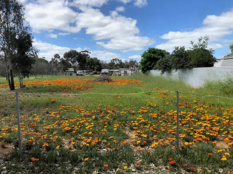 Fourth view of Homely land listing, 34 Market Street, Newbridge VIC 3551