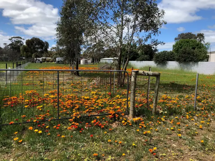 Fifth view of Homely land listing, 34 Market Street, Newbridge VIC 3551