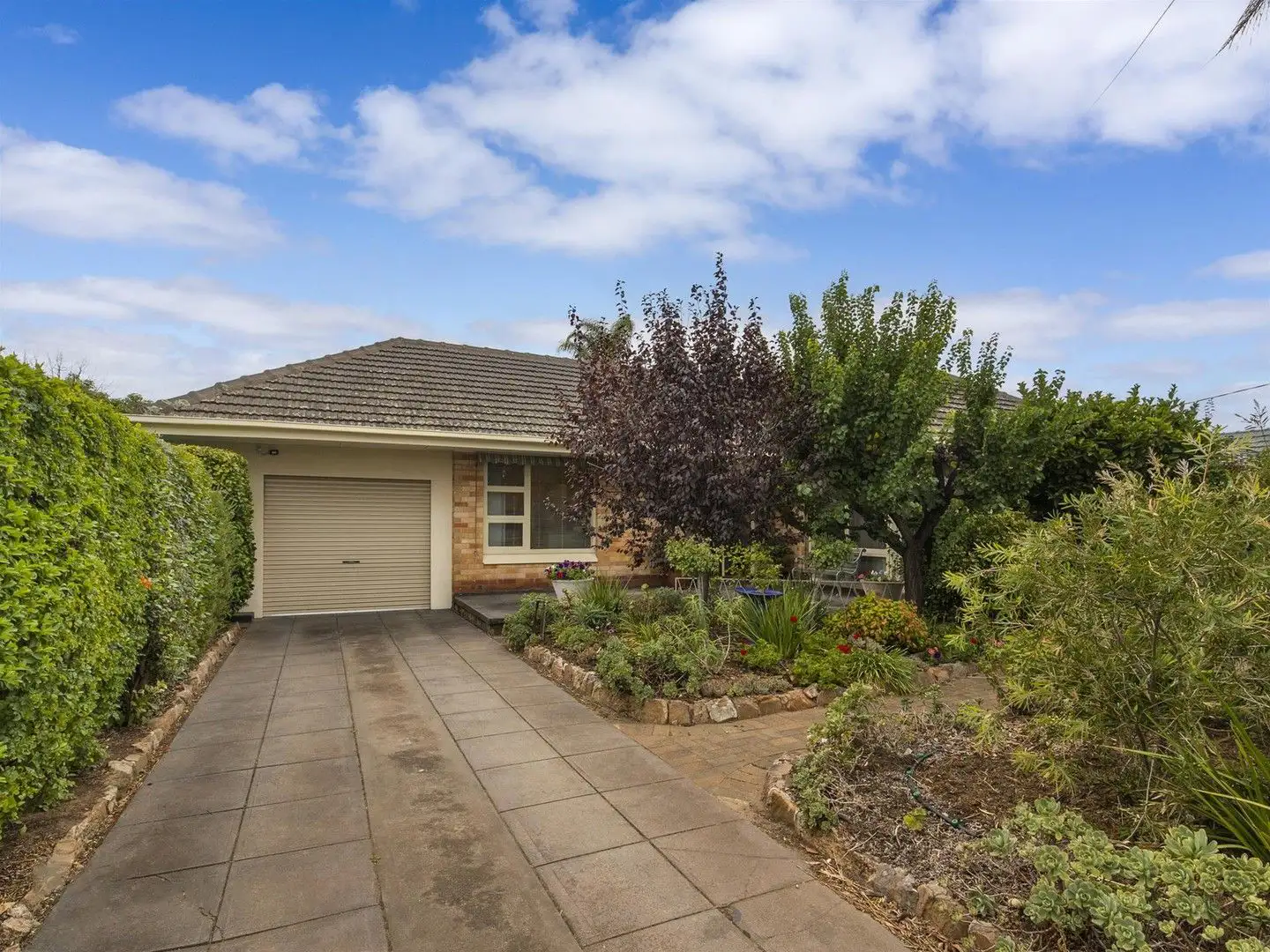 Main view of Homely house listing, 5 Fourth Avenue, Warradale SA 5046