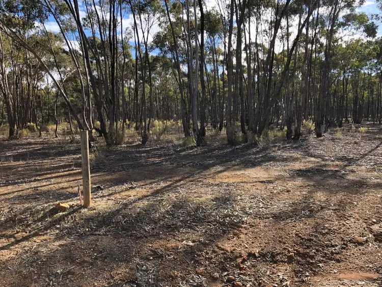 Second view of Homely land listing, 59 Palmer Road, Simson VIC 3465